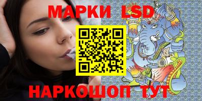 гидропоника Дубна