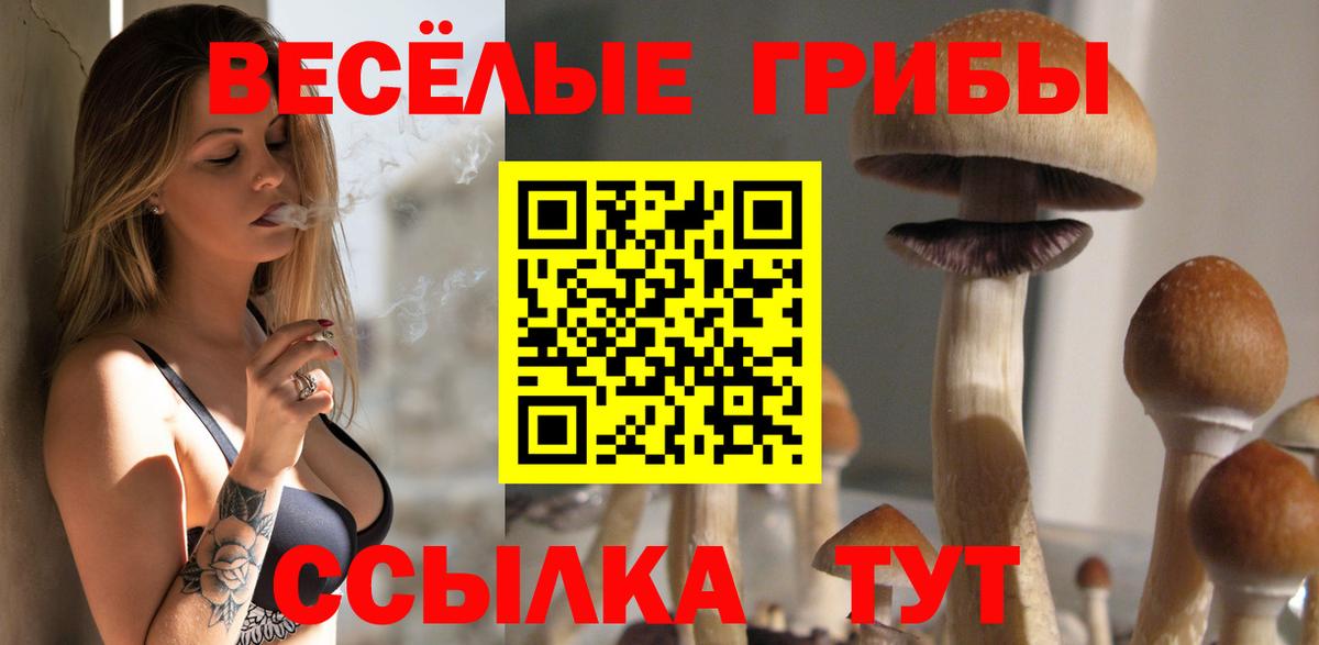 Галлюциногенные грибы Magic Shrooms  Псилоцибиновые грибы Psilocybe  Вход с VPN  Кулебаки 